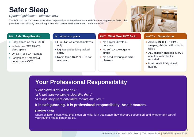Safer sleep poster preview